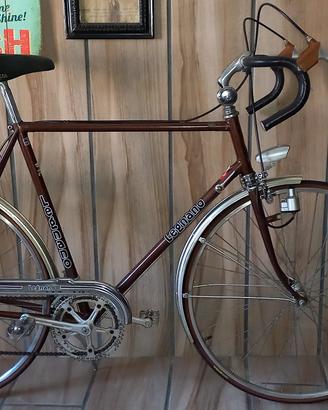 bici da corsa randoneur 