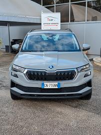 Skoda Karoq 2.0 Tdi 115Cv DSG Executive