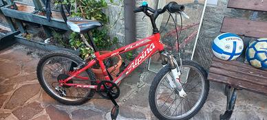 Bici 