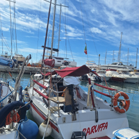 Barca a vela con deriva mobile