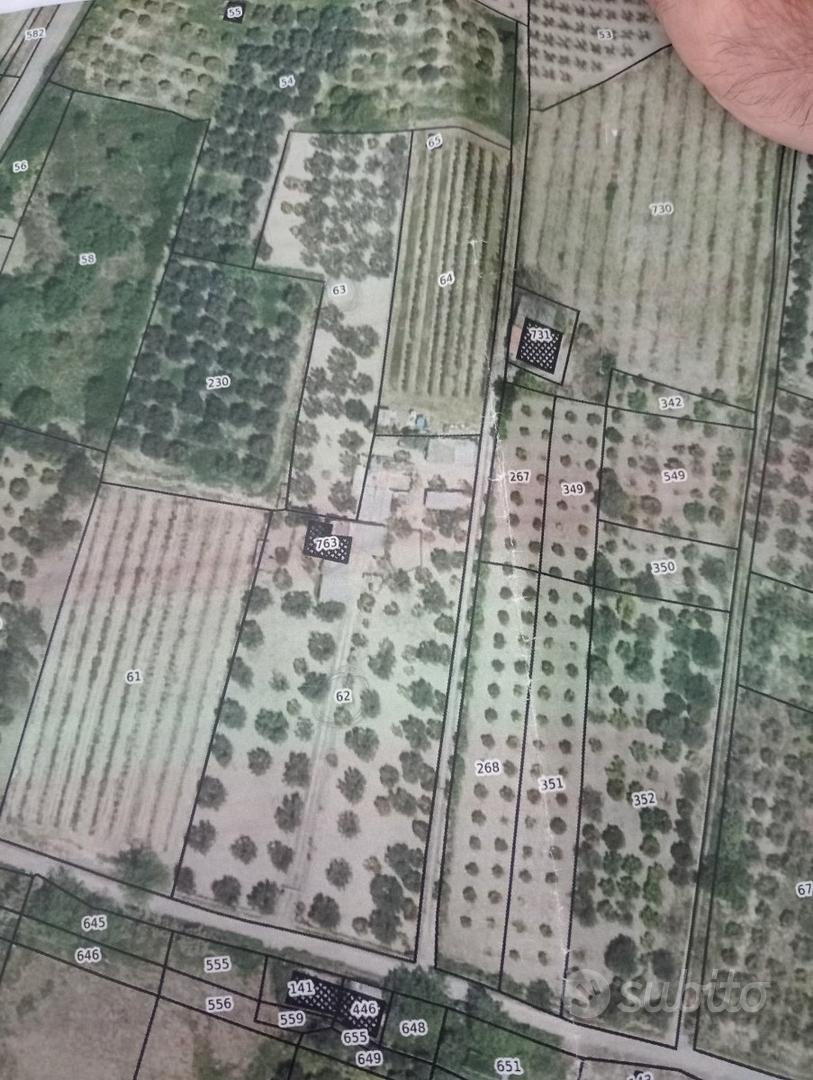 Terreno agricolo con uliveto di I classe - Altro
