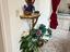 Immagine 14