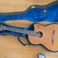 chitarra vantage VC 20