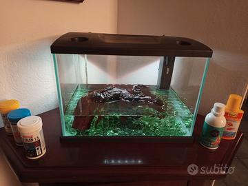 acquario 15 litri 