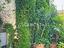Immagine 16