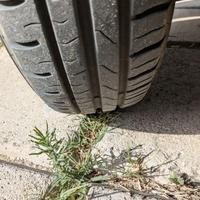 Coppia di ruote per Fiat Seicento