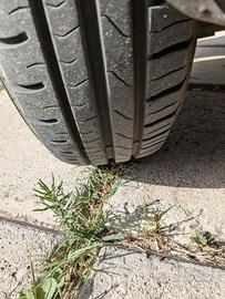 Coppia di ruote per Fiat Seicento