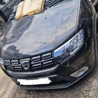 Musata Dacia Sandero Stepway anno 2019 (2a)