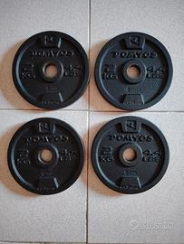 dischi 2 kg 
