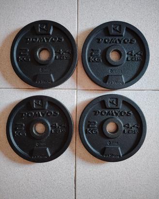 dischi 2 kg 