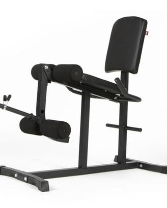 Leg Extension