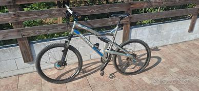 mtb da revisionare