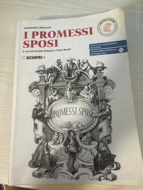 I promessi sposi (edizione scolastica)