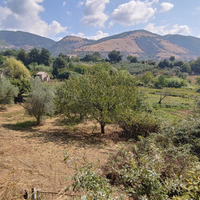 Terreno con alberi da frutto