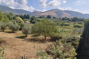 Terreno con alberi da frutto