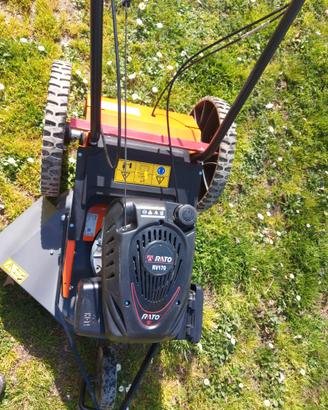 Tagliaerba/ trinciaerba