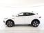Immagine 16