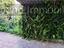 Immagine 12