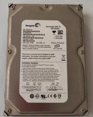 Seagate Barracuda hard disk 7200.10 - 250 GB