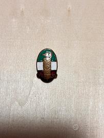Distintivo pnf