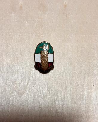 Distintivo pnf