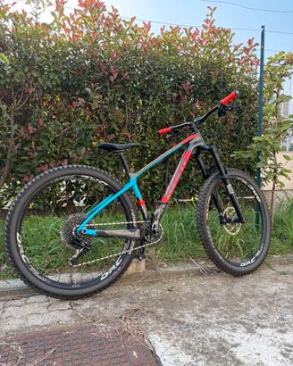 Giant XTC Advanced 29