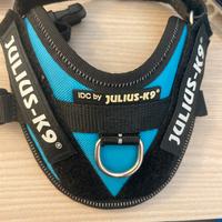 Pettorina Julius 3XS
