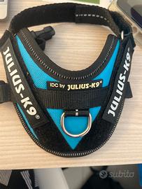 Pettorina Julius 3XS