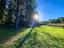 Immagine 18