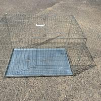 Kennel