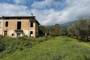 Rustico