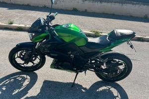 Kawasaki z300