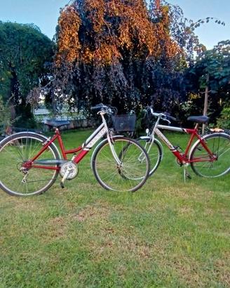 Coppia di Bici OLMO in Lega Alluminio 21 cambi