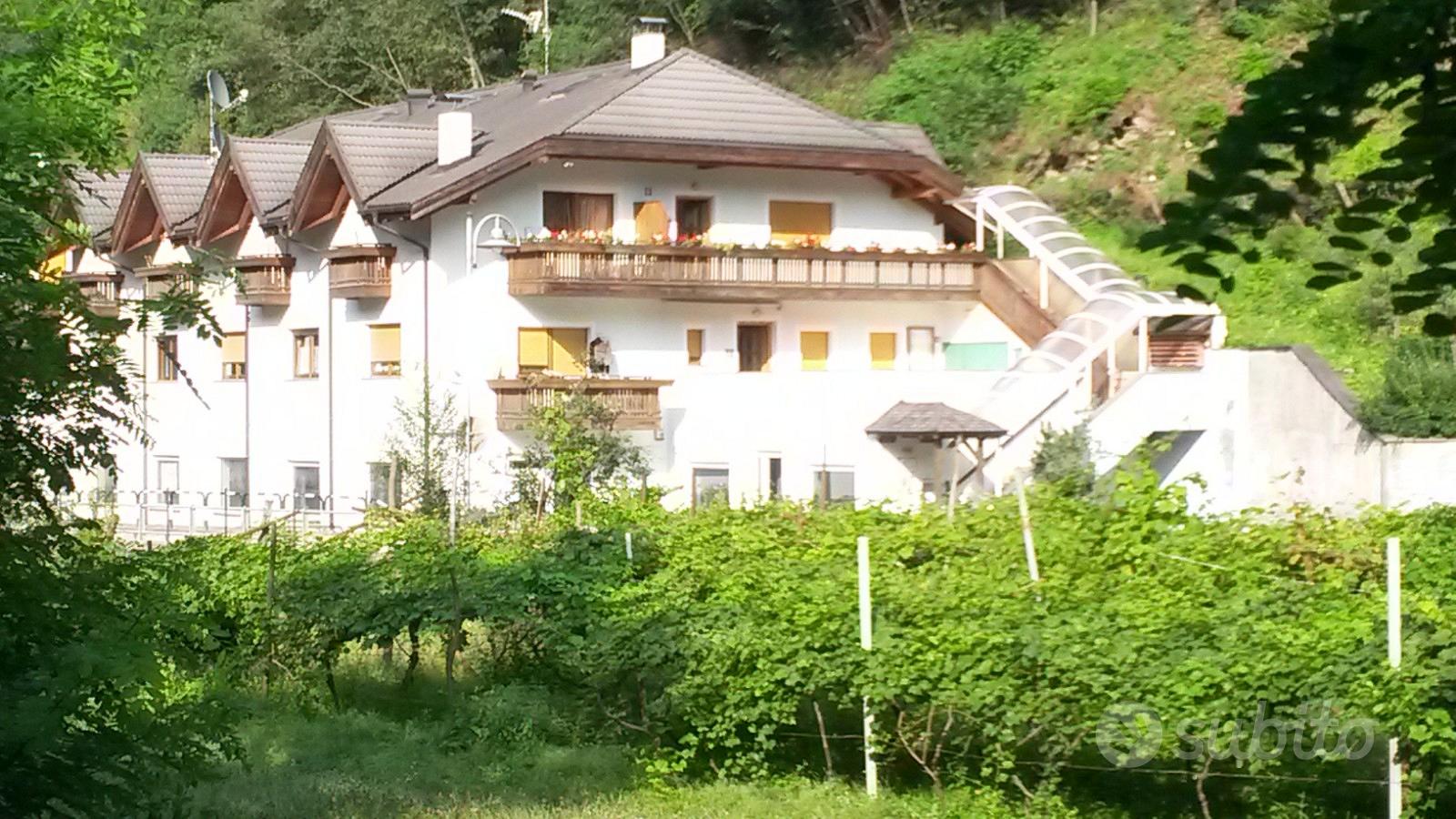 Appartamenti in Residence Appartamenti In affitto a Bolzano