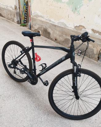 bici lombardo Amantea 100