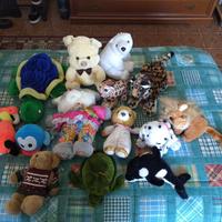 Peluches vari