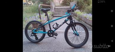 Mtb 20" Bambini Frogbike