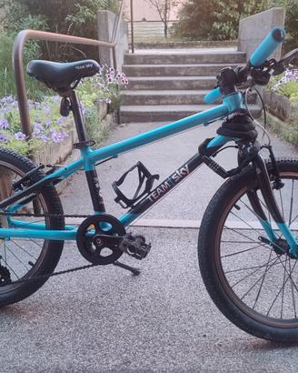 Mtb 20" Bambini Frogbike