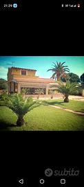 Bed and breakfast zona arenella