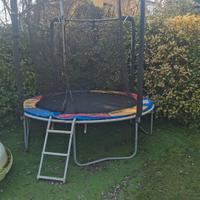 Salterello 244 cm di diametro