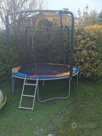 Salterello 244 cm di diametro