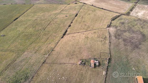 Terreno agricolo Loc. Su Campu, Oschiri (SS)