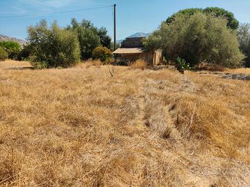 Terreno agricolo Terrasini