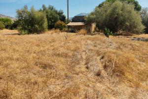 Terreno agricolo Terrasini