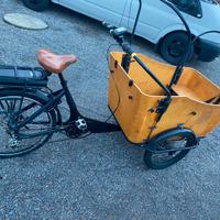 Bici cargo elettrica