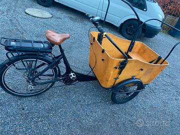 Bici cargo elettrica