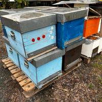 MATERIALE APISTICO: bidoni, arnie, melari