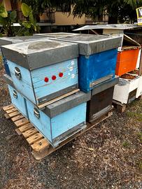 MATERIALE APISTICO: bidoni, arnie, melari