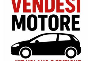 Motore grande punto revisionato