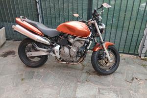 hornet 600